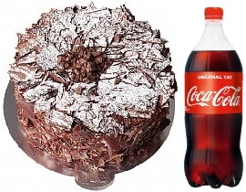 4-6 Kişilik Parça Çikolatalı Pasta Fırsat